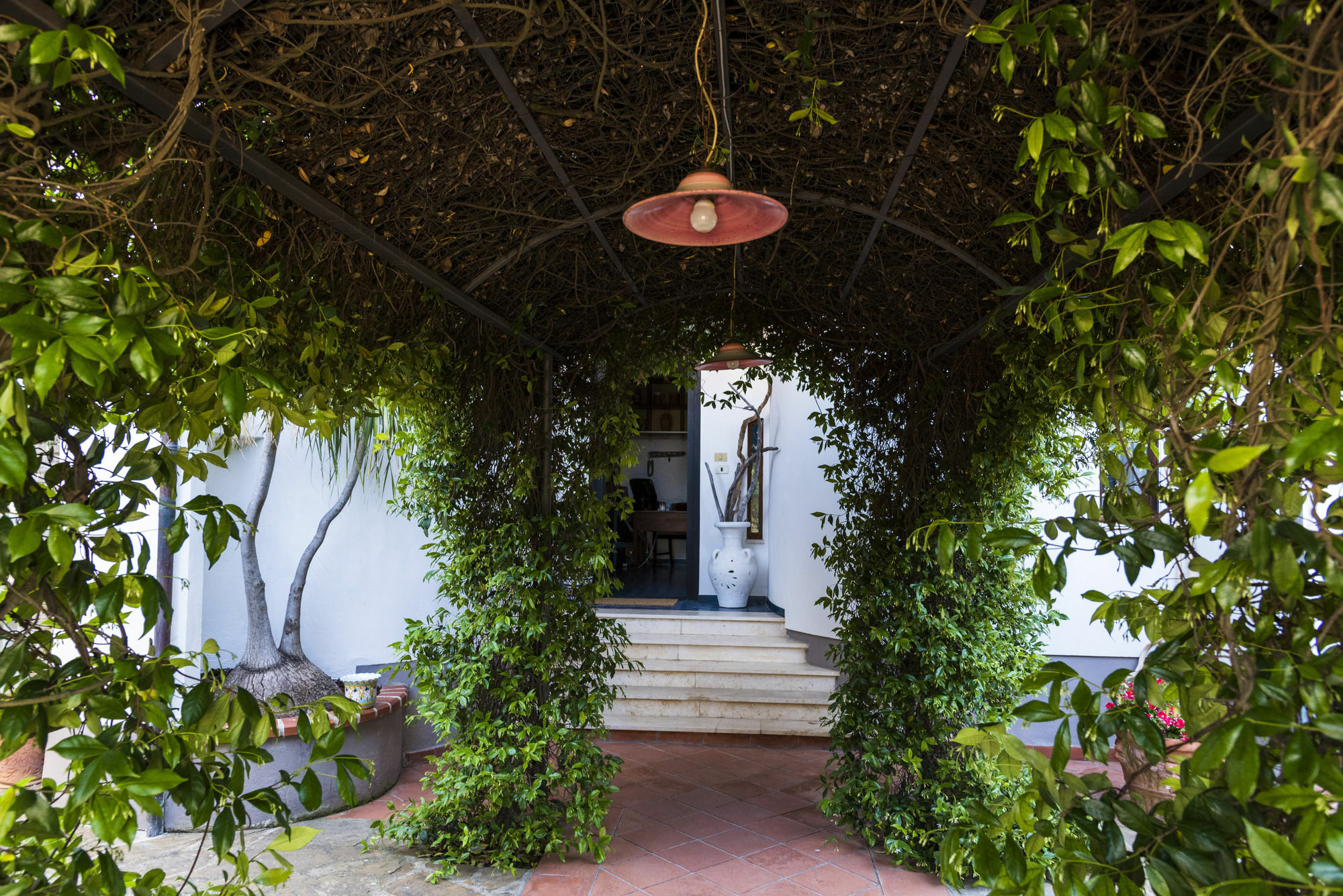 Villa Gio B&B De Charme Montecorice Extérieur photo